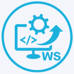 Win Solutions-Freelancer in Cairo,Egypt