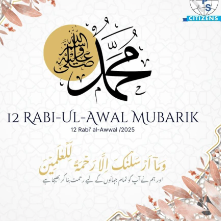 Anees Mirza-Freelancer in Sarai Alamgir,Pakistan