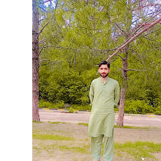 Rizwan Hussain-Freelancer in Sheikhupura,Pakistan