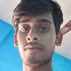 Niraj Kumar-Freelancer in Purnea,India