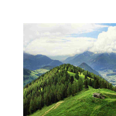 fandiskibidi-Freelancer in Balikpapan,Indonesia