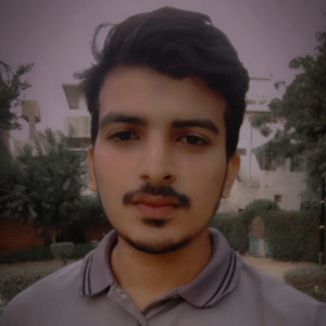 Muhammad Zaid-Freelancer in Karachi,Pakistan