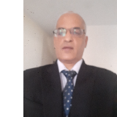 Abdelraheem Awad-Freelancer in Dubai,UAE
