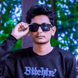 Shahriar Hisham-Freelancer in Dhaka,Bangladesh
