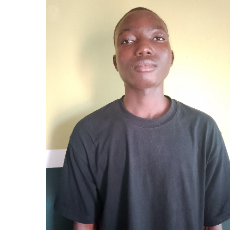 Ade Tope-Freelancer in Lagos,Nigeria