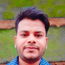 Safik Mollick-Freelancer in Kolkata,India