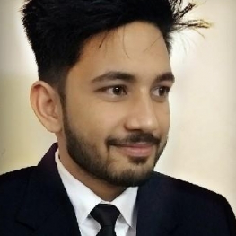 Ajay Pratap Singh Thakur-Freelancer in Mohali,India