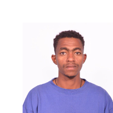 Dawit Wana-Freelancer in Hadiya,Ethiopia