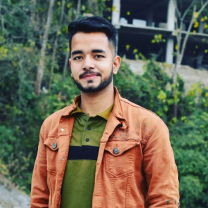 Mann Thakur-Freelancer in Chandigarh,India
