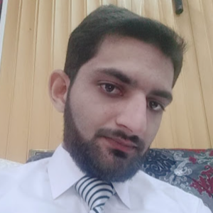 Muhammad Junaid Butt-Freelancer in Islamabad,Pakistan