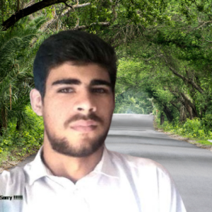 Muhammad Siyab Khan-Freelancer in mardan,Pakistan