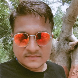Gokul-Freelancer in Indore Division,India