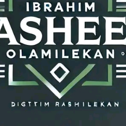 Ibrahim Rasheed Olamilekan-Freelancer in MOBILE, ALABAMA,Nigeria