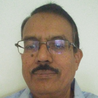 Ramesh Puranik-Freelancer in Bangalore,India