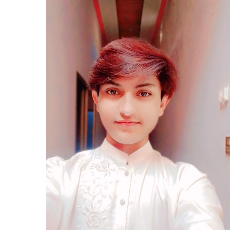 Syed Salman Abbas Naqvi-Freelancer in Liaquat Pur,Pakistan