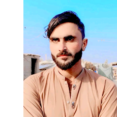 Sajid Ali Sajid-Freelancer in Sujawal,Pakistan
