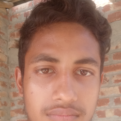 Md Mahamudul-Freelancer in Bangladesh,Bangladesh