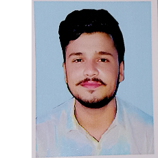 Ali Raza-Freelancer in Hyderabad,Pakistan