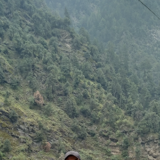 Sumaira Naeem-Freelancer in Rawalpindi,Pakistan