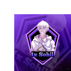 Sohil Seyad-Freelancer in Radhanpur,India