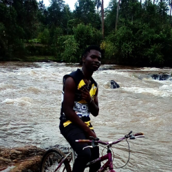 David Juma-Freelancer in Kericho,Kenya