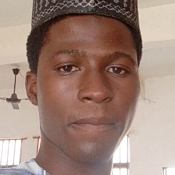 Nafiu Abdullahi-Freelancer in Ibadan,Nigeria