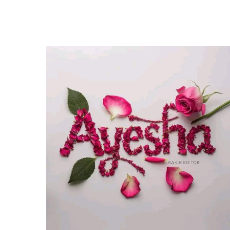 Ayesha Hoorain-Freelancer in Khair pur,Pakistan