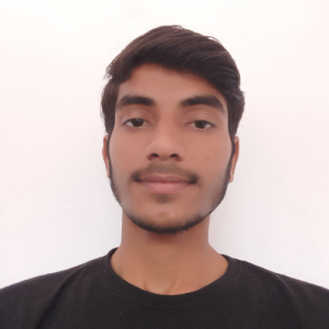 Adarsh Tripathi-Freelancer in Bhopal,India