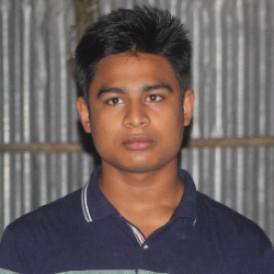 Md Firoz Al Mamun-Freelancer in ,Bangladesh
