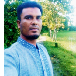 Md Nur Nobi-Freelancer in Dhaka,Bangladesh