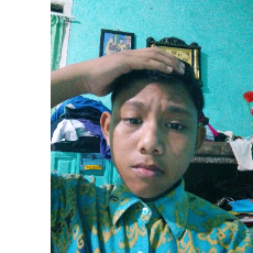 Sekhudin Maulana-Freelancer in Jakarta,Indonesia