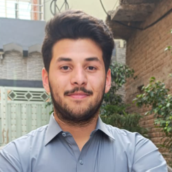 Hassnain Arshad-Freelancer in chennai,Pakistan