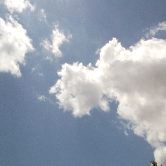 Preci Mash-Freelancer in Nairobi,Kenya