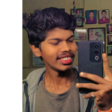 Harsh Goswami-Freelancer in Bhilai,India