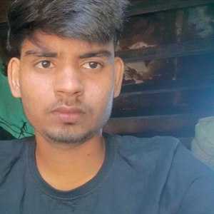 Prince Bhargav-Freelancer in ghaziabaad,India