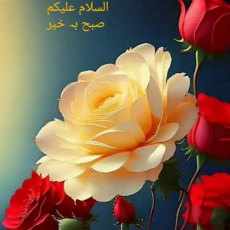 Amna Zeeshan-Freelancer in Lahore,Pakistan