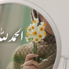 Salina Sehar-Freelancer in Faisalabad,Pakistan