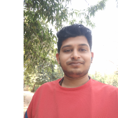 Ronak Naik-Freelancer in Gandhinagar,India