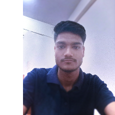 Harsh Jangir-Freelancer in Jaipur,India