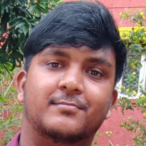 Dattatreya Jena-Freelancer in Balasore,India