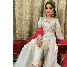 Sidra Malik-Freelancer in Lahore,Pakistan