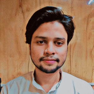 Mohd Taif Hameed-Freelancer in Bareilly,India