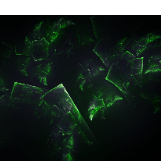 Rakib Hossain-Freelancer in Dhaka,Bangladesh