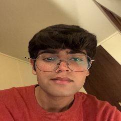 Vasu Arora-Freelancer in Noida,India