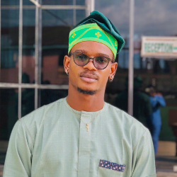 Tomiwa Akinwande-Freelancer in Lagos,Nigeria