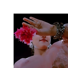 Nagma Khan-Freelancer in Wardha,India