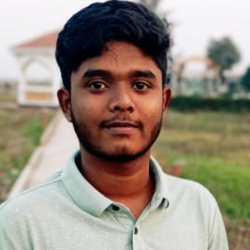 Md Habibur Mir-Freelancer in Keraniganj,Bangladesh