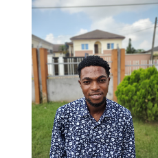 Paul Oludare-Freelancer in Lagos,Nigeria