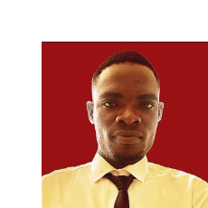 Emmanuel Majekodunmi-Freelancer in Ibadan,Nigeria