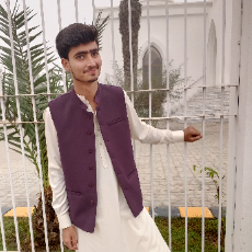 Zeeshan Zeeshan Asghar-Freelancer in Faisalabad,Pakistan